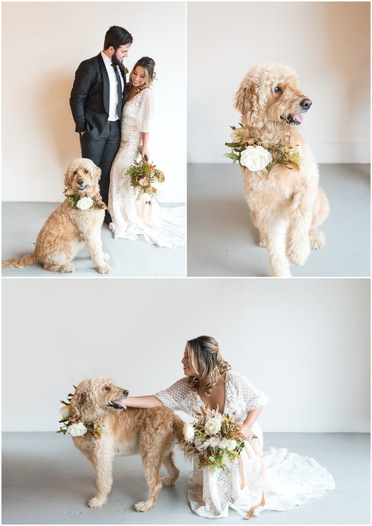 5 Worry-free Ways to Include Your Dog in Your Wedding Photos - mandyliz.com