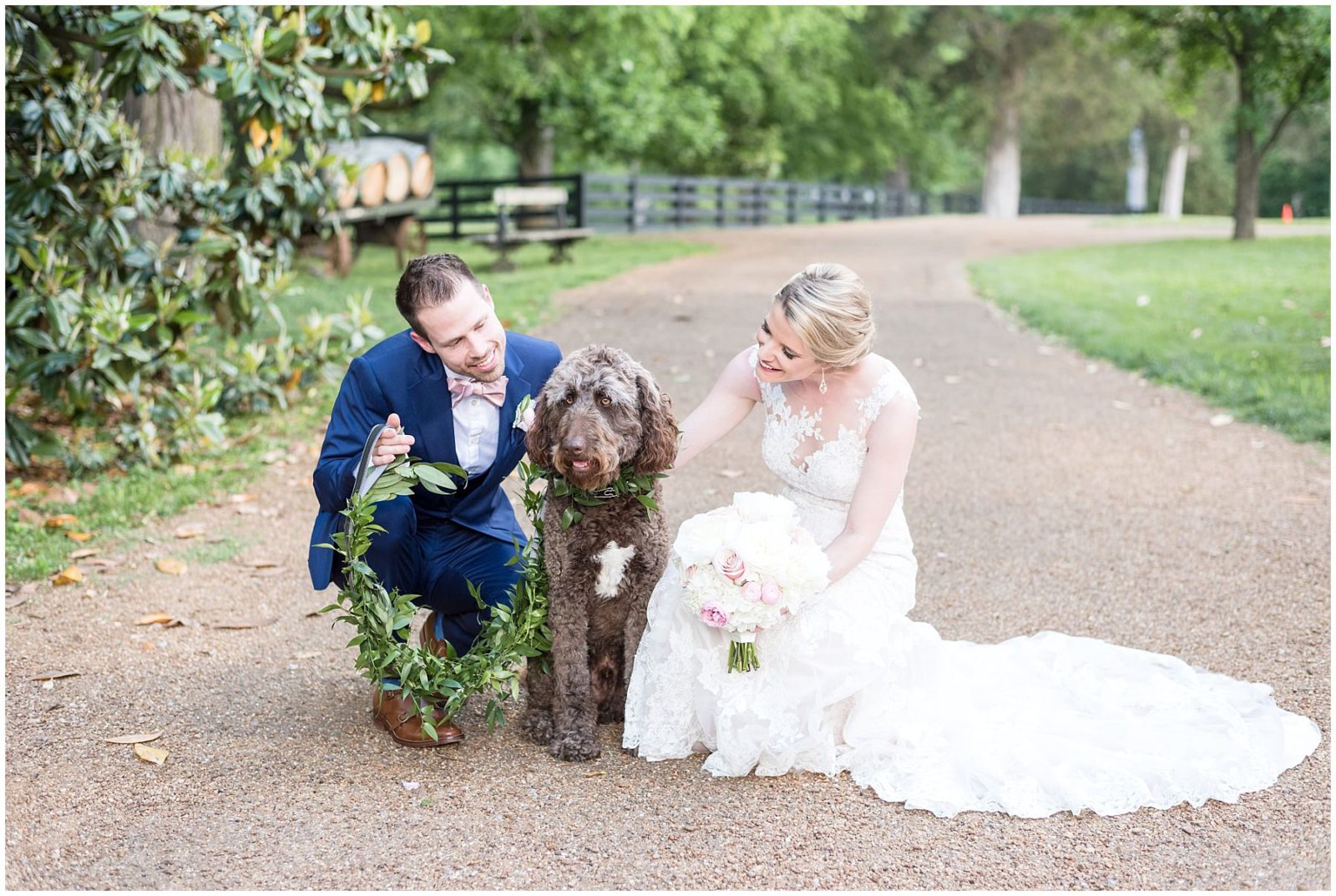 5 Worry-free Ways to Include Your Dog in Your Wedding Photos - mandyliz.com