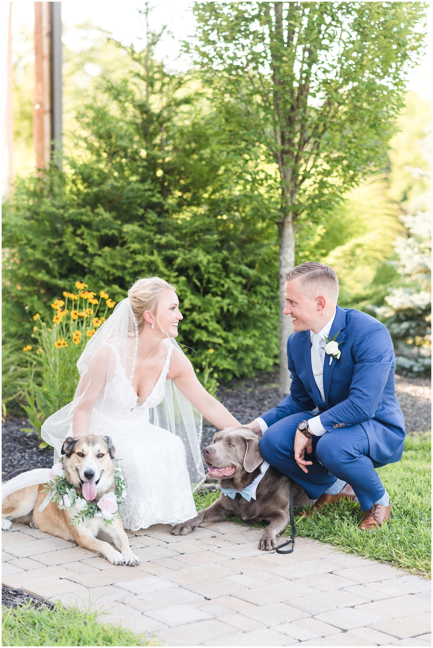 Nashville couple posing with their dogs for their wedding portraits at Tucker's Gap in Lebanon, TN